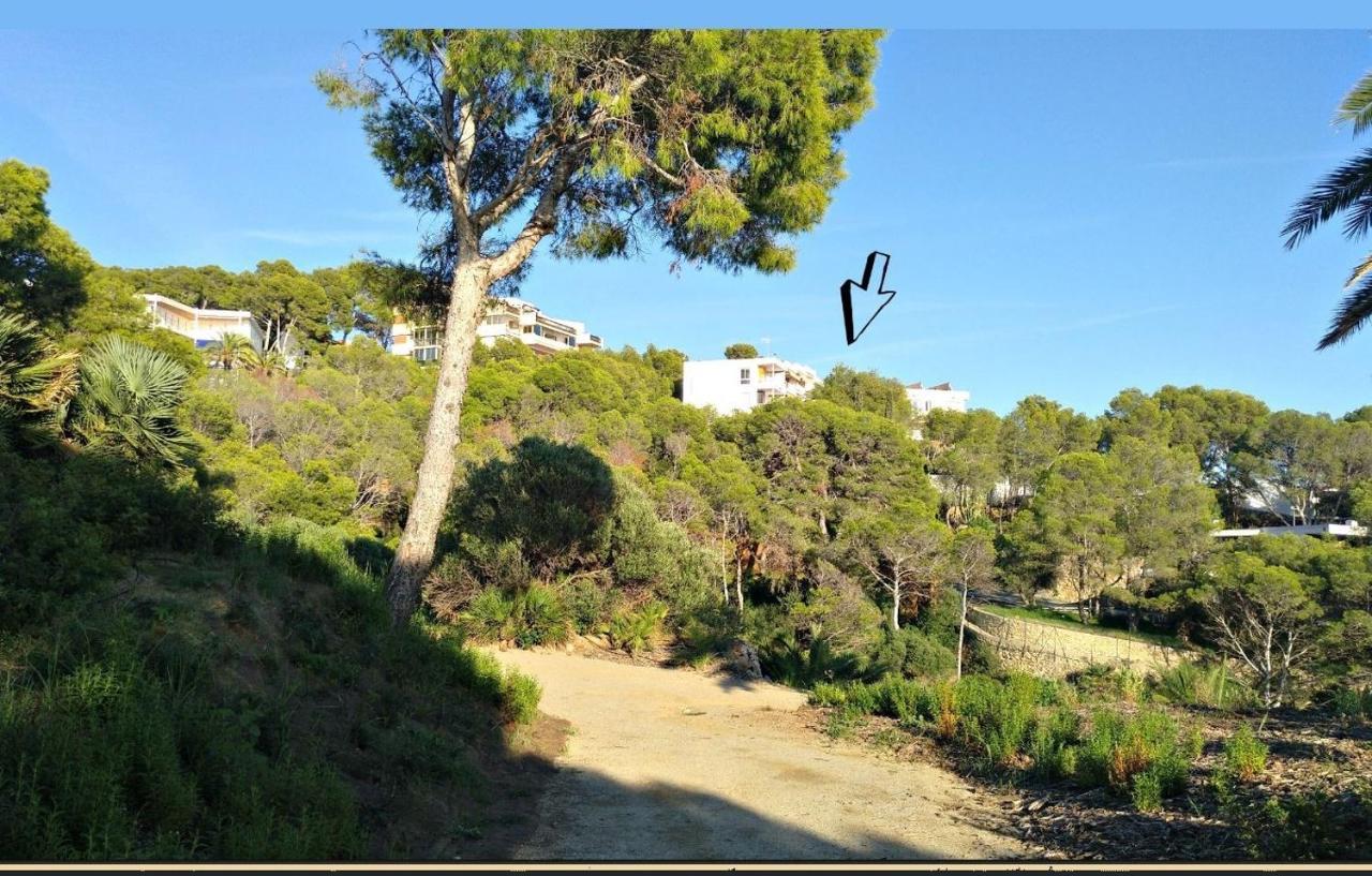 Aguila Dorada Apartment Salou Ngoại thất bức ảnh
